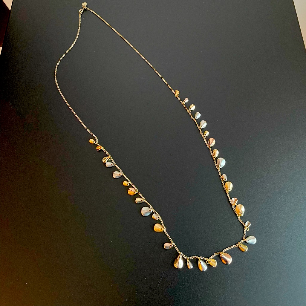 J Crew Mixed Metal Long Necklace 7$